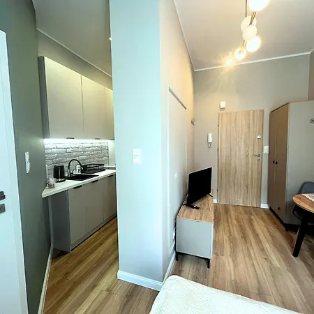 Grey 1 Apartment Posen